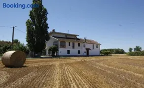 Antico Pioppo - Image 1