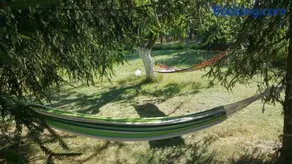Borywood - Image 2