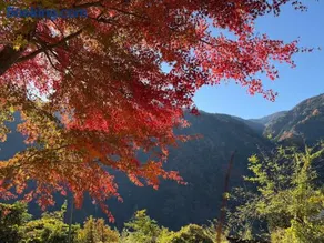 Deguchiya - Image 1