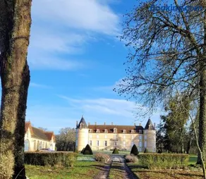 Les Lavandins Château de Musigny - Image 2
