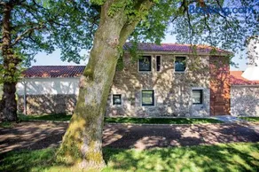 A casa do viveiro - Image 1