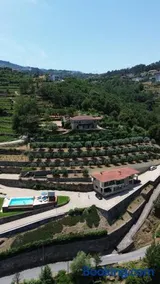 Casa das Oliveiras, o Douro no seu esplendor! - Image 1