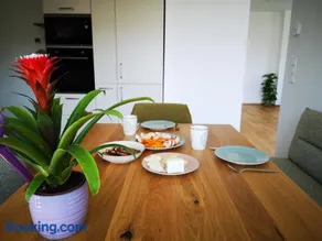 Spacy Apartment next to the center of Graz with terrasse - Image 2