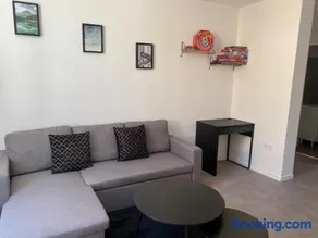 Appartement entier plein centre MIRANDE - Image 1