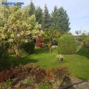 Blick zum See - Image 2
