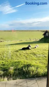 Vestra-Fíflholt hús 5 - Image 2