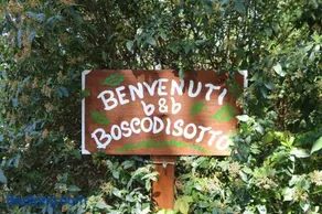 Boscodisotto - Image 3