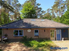 Holiday home bos en heide - Image 2