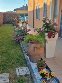 House Barbanera - Image 4