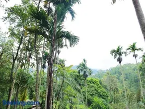 The Spice Lodge - Image 2