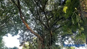 Guayacan Refugio - Image 2
