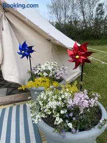 Country PUPkins Camping - Image 4
