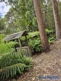 Beach & Forest Stay - Image 2