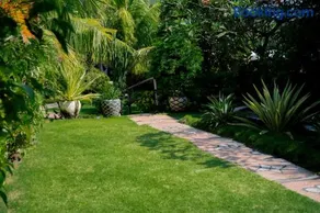 The BBQ Guest House - Image 3