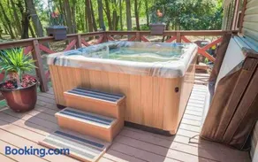 Pool HotTub RecRoom Private Dock Year Round Playground - Image 3