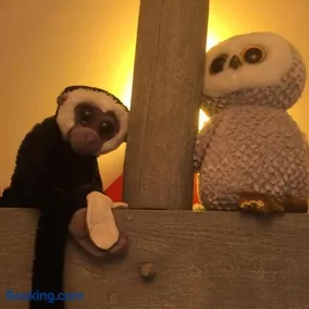 Le petit secret au pied du zoo - Image 3