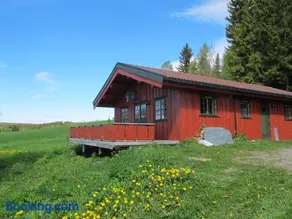 Festly - Image 1
