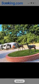 Rogarnet caravan park - Image 2