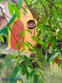 Mini House Park - Image 2