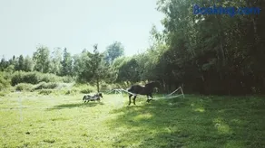 Härjamäe Saunamaja, Sõtke küla, Märjamaa - Image 2
