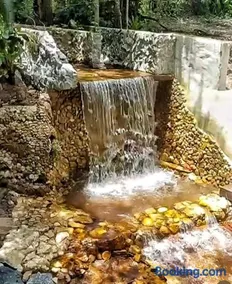 Sítio Canto do Sabiá - Image 2