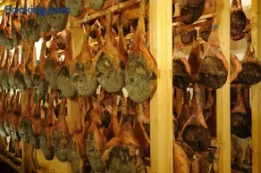 Belica Bed and Breakfast - Image 5
