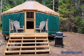Allie Mae Yurt nestled in the woods - Image 1
