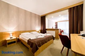 Hotel Muresul Health Spa - Image 2