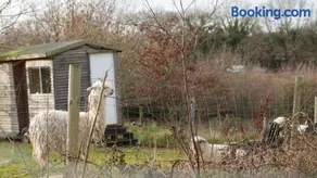 Belle's Belle-Vue - Image 5
