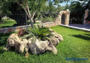 Theocharis Paradise - Image 5