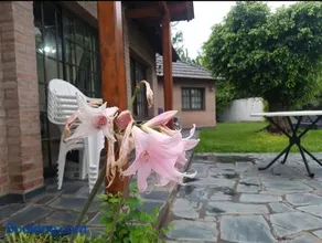 Homy home - Image 1