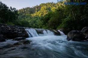 Kartiya village homestay - Image 4