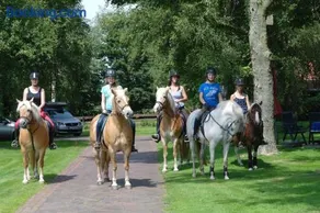 Ferienhof Am Birkensee 55125 - Image 3