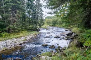 Les Domes de la Riviere Alick A - SPA & River - Image 2