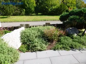 Ambiente in Karlsruhe City - Image 2