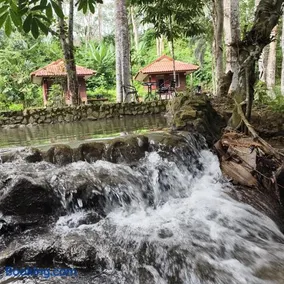Khaosok Creek and Jungle Resort - Image 2
