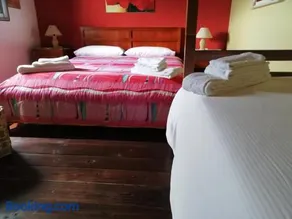 B&B Badde Cubas - Image 2