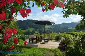 Bauernhof Schneider - Image 2