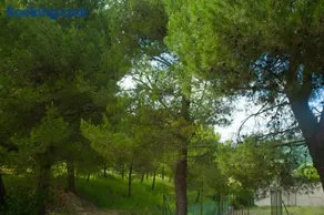 Azienda ASIS - Image 3