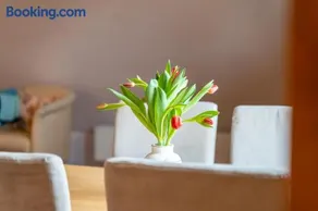 Appartamento con sauna, barbecue e terrazza - Image 3
