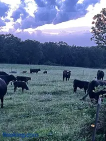 Family Farm Living - Image 1