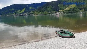 Wildente am See - Image 4