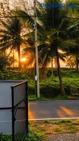 Living big in a Container home - Image 3