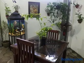 Aayu's Guest - Image 3