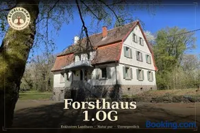 Schellnhof Forsthaus am Waldrand - Image 3