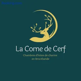 La Corne de Cerf, Forêt de Brocéliande - Image 3