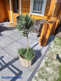 Luxe Blokhut in een bosrijke omgeving - Image 3