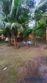 Família Marcon - Image 2