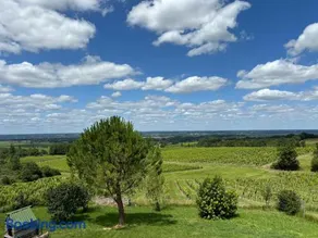 Perché aux milieux des vignes - Image 2