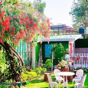 Olive Greens Homestay - Image 3